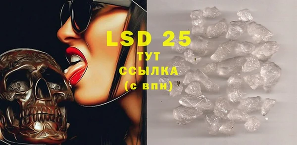 индика Бронницы
