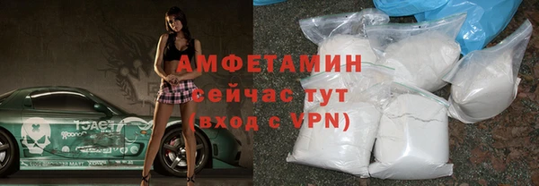 индика Бронницы