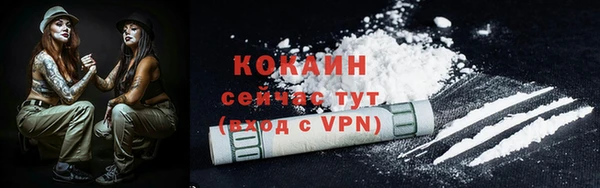 2c-b Бородино