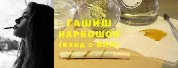 индика Бронницы