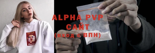 индика Бронницы