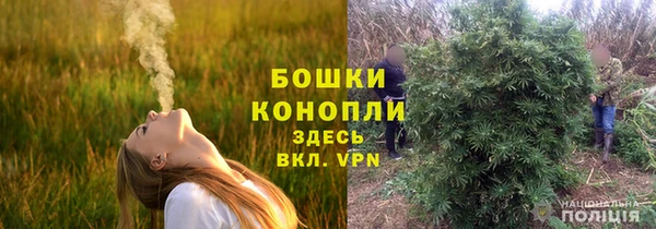 2c-b Бородино