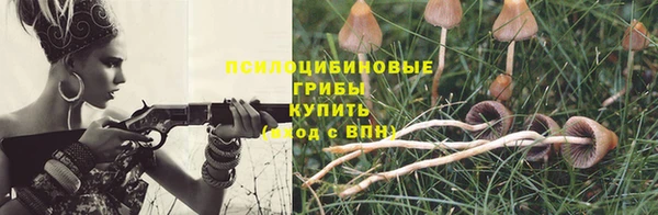 индика Бронницы