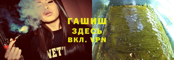 индика Бронницы