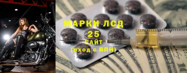 индика Бронницы