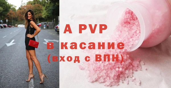 индика Бронницы