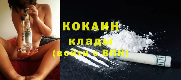 индика Бронницы