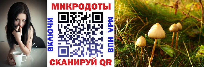 omg вход  Гусиноозёрск  Галлюциногенные грибы прущие грибы 